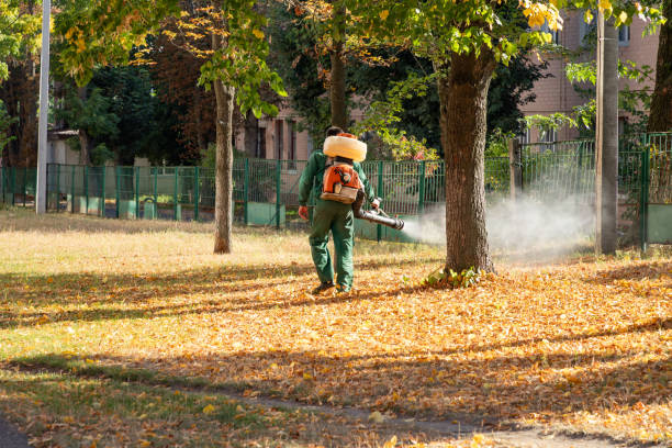 Best Pest Control for Homes  in North Patchogue, NY